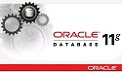 Oracle 11g database 