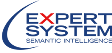 Expert System 112