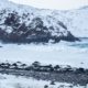 NGA, partners complete 2-meter resolution map of Arctic