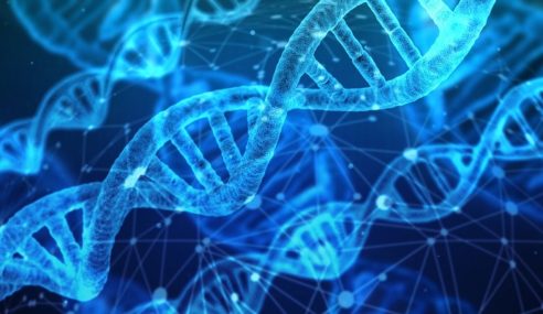 Stephen Turner joins Signature Science as science and technology advisor