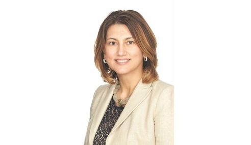 Amela Wilson named VP, GM of FLIR Surveillance Division