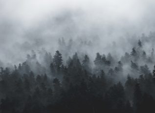 IARPA announces launch of the MIST program