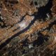 Capella Space and Rocket Lab to launch mid-inclination SAR satellite