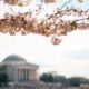 DIA announces March speaker series