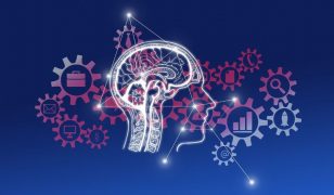 Cerebras partners with Carahsoft, joins Tradewinds