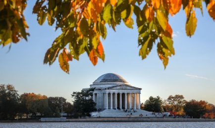 Arango launches US federal government practice