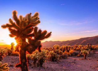 NGA releases MOJAVE follow-on RFI