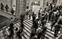 RUCKUS Networks and Carahsoft partner