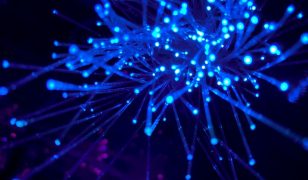 Telos gains USAF contract renewal for Xacta