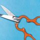 IARPA launches SCISRS program