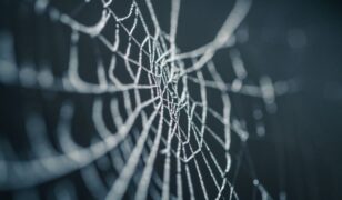 SpiderOak adds Thomas Di Giacomo to advisory board