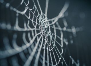 Cobwebs Technologies partners with Whooster
