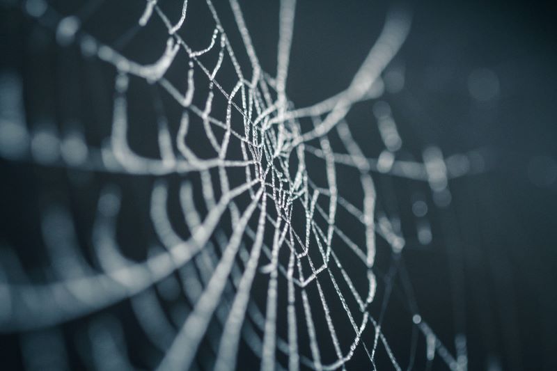 Cobwebs Technologies launches OSINT solution