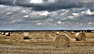 IARPA kicks off HAYSTAC program