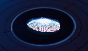 Palantir wins DHS HSI contract