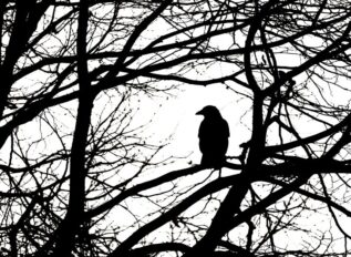 Nightwing earns CMMI Level 3