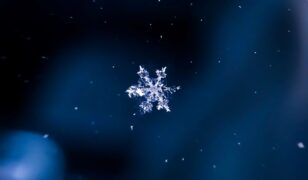 Snowflake earns DoD IL5 authorization