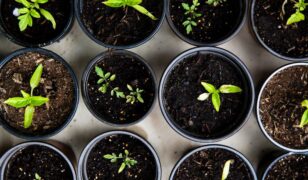 Aperio Global adds two new VPs