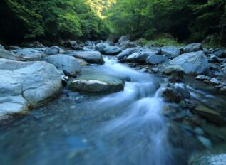 AFOSR issues PIA RFP