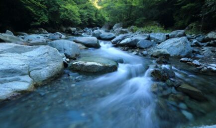 AFOSR issues PIA RFP