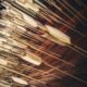 Anthropic unveils national security, public sector advisors