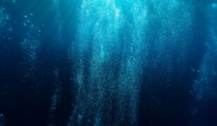 Brooke Smith named Deep Water Point CEO