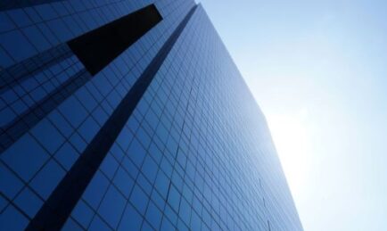 Everfox names Maureen Stevens CCAO