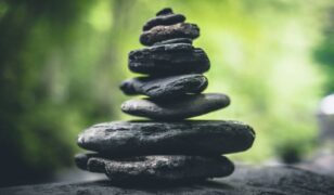 Mission Essential adds COO, growth VP