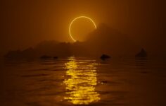 Evolver unveils consolidated brand