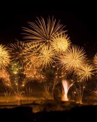 INSA opens nominations for 2025 Charlie Allen Achievement Awards