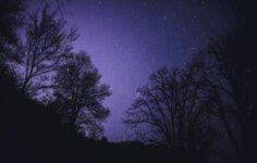 BlackSky wins sole-source US government IDIQ