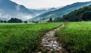 Gilat to acquire DataPath