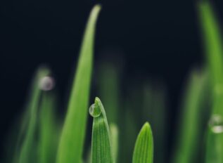 Leidos appoints Megan Block national security capture lead