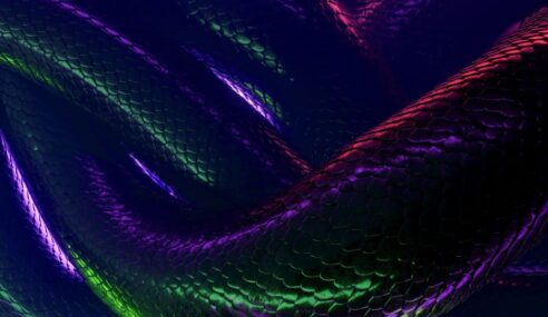 NSA, partners identify Russian Snake malware infrastructure