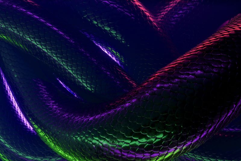 NSA, partners identify Russian Snake malware infrastructure