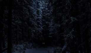 Owl Cyber Defense acquires Big Bad Wolf Security