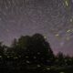 Firefly acquires Spaceflight Inc.