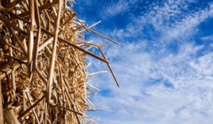 Expedition Technology secures IARPA HAYSTAC spot