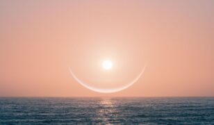 Palantir expands Carahsoft partnership