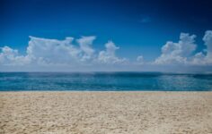 Quiet Professionals and Spathe Systems merge