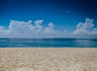 Quiet Professionals and Spathe Systems merge