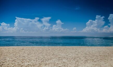 Quiet Professionals and Spathe Systems merge