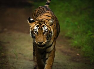 IARPA to host BENGAL Proposer’s Day