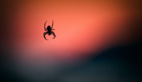 DIU posts ARACHNID call for solutions