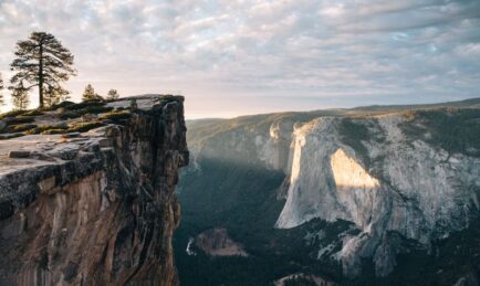 Seekr launches SeekrGuard