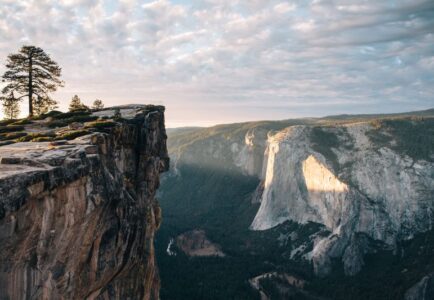 Seekr launches SeekrGuard