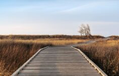 iGov secures USSOCOM TREX contract spot