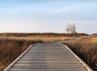 iGov secures USSOCOM TREX contract spot