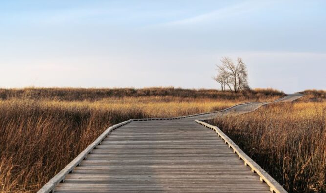 iGov secures USSOCOM TREX contract spot