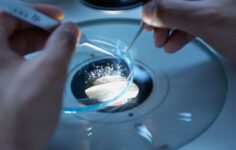 MANTECH wins prime position on $875M IC contract